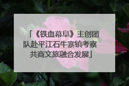 《铁血幕阜》主创团队赴平江石牛寨镇考察 共商文旅融合发展