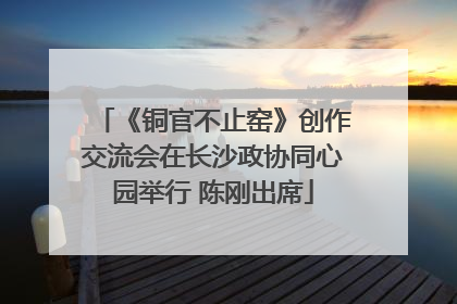 《铜官不止窑》创作交流会在长沙政协同心园举行 陈刚出席