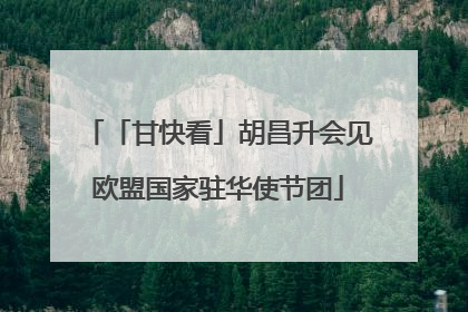 「甘快看」胡昌升会见欧盟国家驻华使节团