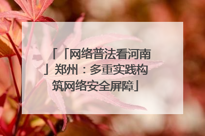 「网络普法看河南」郑州：多重实践构筑网络安全屏障