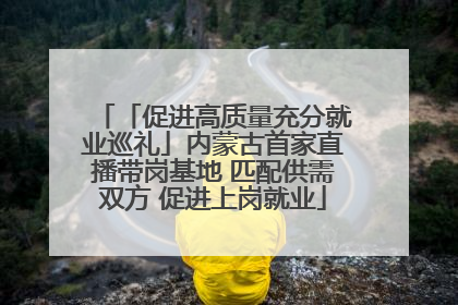 「促进高质量充分就业巡礼」内蒙古首家直播带岗基地 匹配供需双方 促进上岗就业