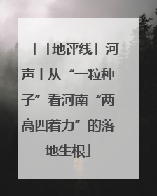 「地评线」河声丨从“一粒种子”看河南“两高四着力”的落地生根