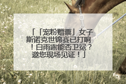 「宠粉赠票」女子斯诺克世锦赛已打响！白雨露能否卫冕？邀您现场见证！