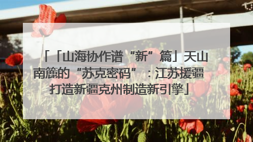 「山海协作谱“新”篇」天山南簏的“苏克密码”：江苏援疆打造新疆克州制造新引擎