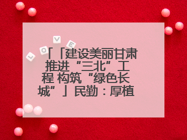「建设美丽甘肃 推进“三北”工程 构筑“绿色长城”」民勤：厚植生态底色 筑牢绿色屏障
