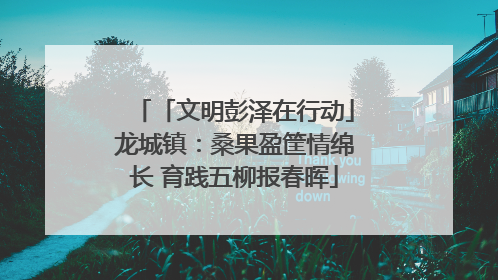 「文明彭泽在行动」龙城镇：桑果盈筐情绵长 育践五柳报春晖