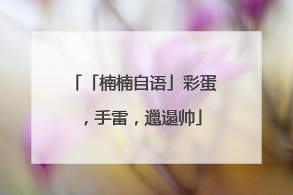 「楠楠自语」彩蛋，手雷，邋遢帅
