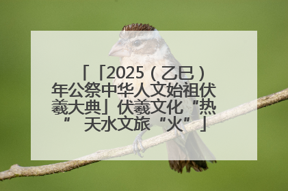 「2025（乙巳）年公祭中华人文始祖伏羲大典」伏羲文化“热” 天水文旅“火”