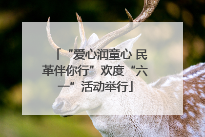 “爱心润童心 民革伴你行”欢度“六一”活动举行