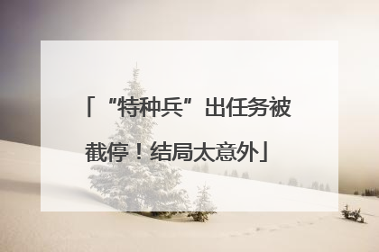 “特种兵”出任务被截停！结局太意外