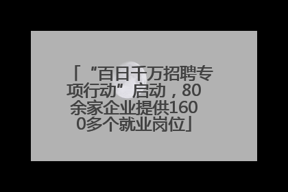 “百日千万招聘专项行动”启动，80余家企业提供1600多个就业岗位