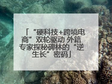 “硬科技+跨境电商”双轮驱动 外籍专家探秘碑林的“逆生长”密码