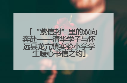 “紫信封”里的双向奔赴——清华学子与怀远县龙亢镇实验小学学生暖心书信之约