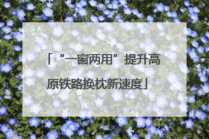“一窗两用”提升高原铁路换枕新速度