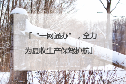 “一网通办”，全力为夏收生产保驾护航