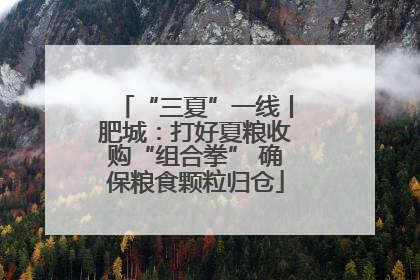 “三夏”一线丨肥城：打好夏粮收购“组合拳” 确保粮食颗粒归仓