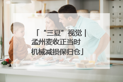 “三夏”视觉｜孟州麦收正当时 机械减损保归仓