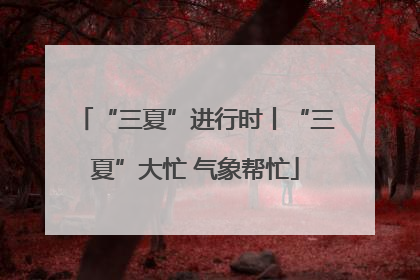 “三夏”进行时丨“三夏”大忙 气象帮忙