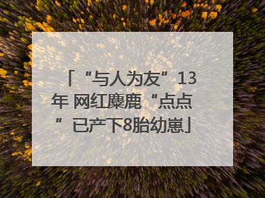 “与人为友”13年 网红麋鹿“点点”已产下8胎幼崽