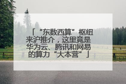 “东数西算”枢纽来沪推介，这里竟是华为云、腾讯和网易的算力“大本营”
