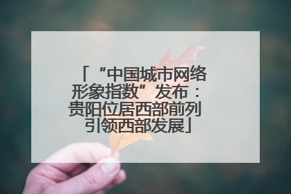 “中国城市网络形象指数”发布：贵阳位居西部前列 引领西部发展