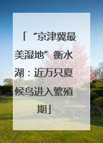 “京津冀最美湿地”衡水湖：近万只夏候鸟进入繁殖期