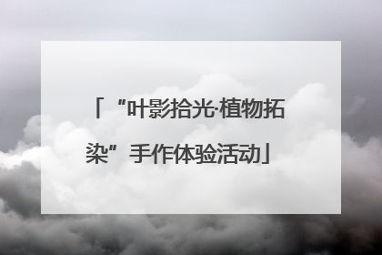 “叶影拾光·植物拓染”手作体验活动
