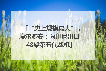 “史上规模最大”，埃尔多安：向印尼出口48架第五代战机