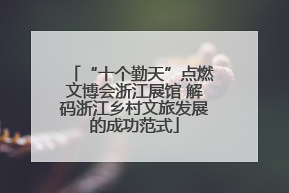 “十个勤天”点燃文博会浙江展馆 解码浙江乡村文旅发展的成功范式