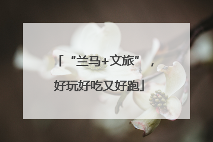 “兰马+文旅”，好玩好吃又好跑