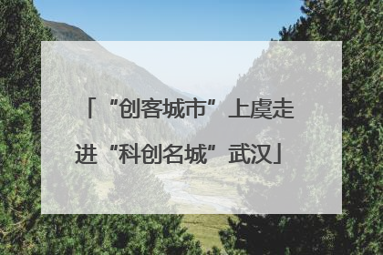 “创客城市”上虞走进“科创名城”武汉