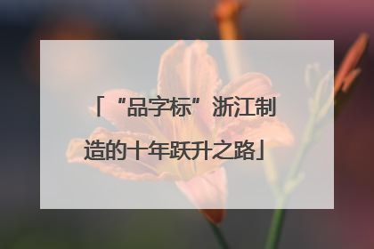 “品字标”浙江制造的十年跃升之路