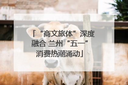 “商文旅体”深度融合 兰州“五一”消费热潮涌动