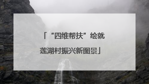 “四维帮扶”绘就莲湖村振兴新图景