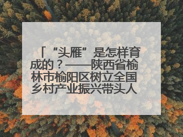 “头雁”是怎样育成的？——陕西省榆林市榆阳区树立全国乡村产业振兴带头人培育标杆
