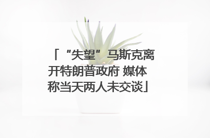 “失望”马斯克离开特朗普政府 媒体称当天两人未交谈