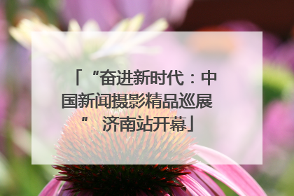 “奋进新时代：中国新闻摄影精品巡展” 济南站开幕