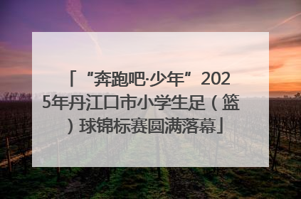 “奔跑吧·少年”2025年丹江口市小学生足（篮）球锦标赛圆满落幕