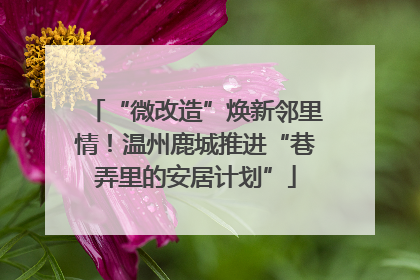 “微改造”焕新邻里情！温州鹿城推进“巷弄里的安居计划”