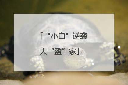 “小白”逆袭大“盈”家