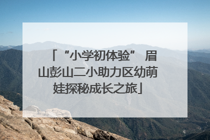 “小学初体验” 眉山彭山二小助力区幼萌娃探秘成长之旅