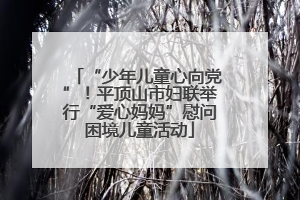 “少年儿童心向党”！平顶山市妇联举行“爱心妈妈”慰问困境儿童活动