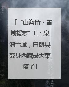 “山海情・雪域援梦”⑪：泉润雪域，白朗县变身西藏最大菜篮子