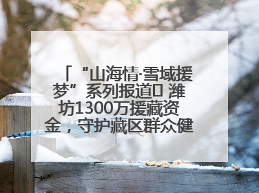 “山海情·雪域援梦”系列报道⑪ 潍坊1300万援藏资金，守护藏区群众健康“最后一公里”