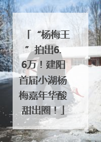 “杨梅王”拍出6.6万！建阳首届小湖杨梅嘉年华酸甜出圈！