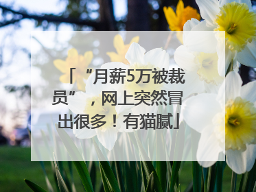 “月薪5万被裁员”，网上突然冒出很多！有猫腻