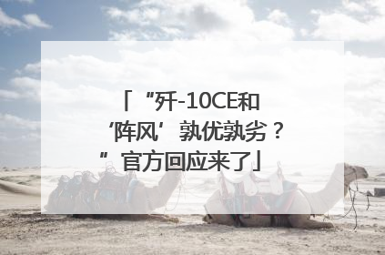 “歼-10CE和‘阵风’孰优孰劣？”官方回应来了