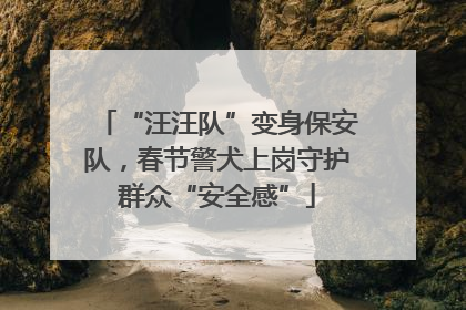 “汪汪队”变身保安队，春节警犬上岗守护群众“安全感”