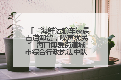 “海鲜运输车凌晨占道卸货，噪声扰民” 海口博爱街道城市综合行政执法中队：将联合交警加强长堤路一带巡逻