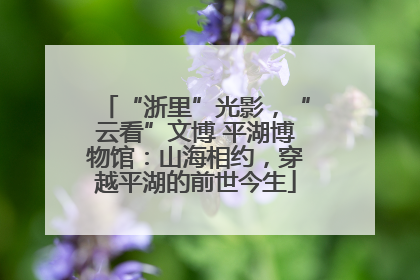 “浙里”光影，“云看”文博 平湖博物馆：山海相约，穿越平湖的前世今生